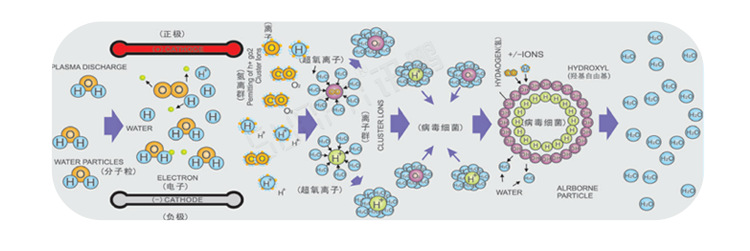 公廁空氣凈化器技術(shù)說明
